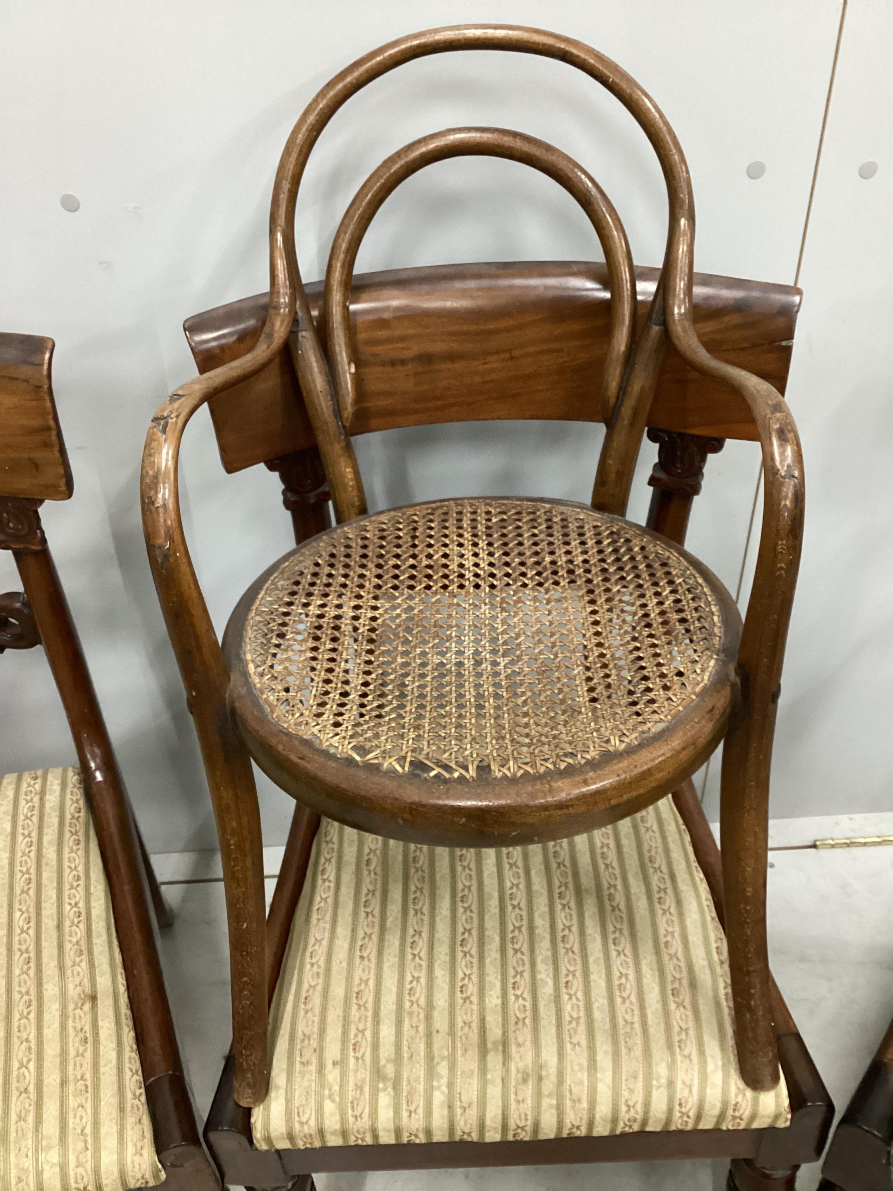 Five William IV mahogany dining chairs and an early 20th century beech bentwood cane seat child's chair. Condition - fair